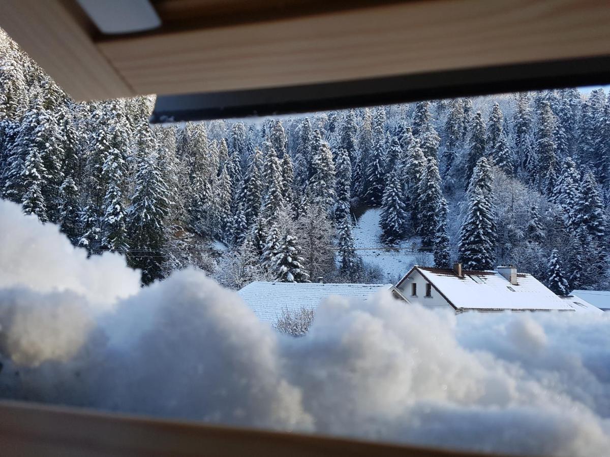 Le Petit Kichon Leilighet Gérardmer Eksteriør bilde