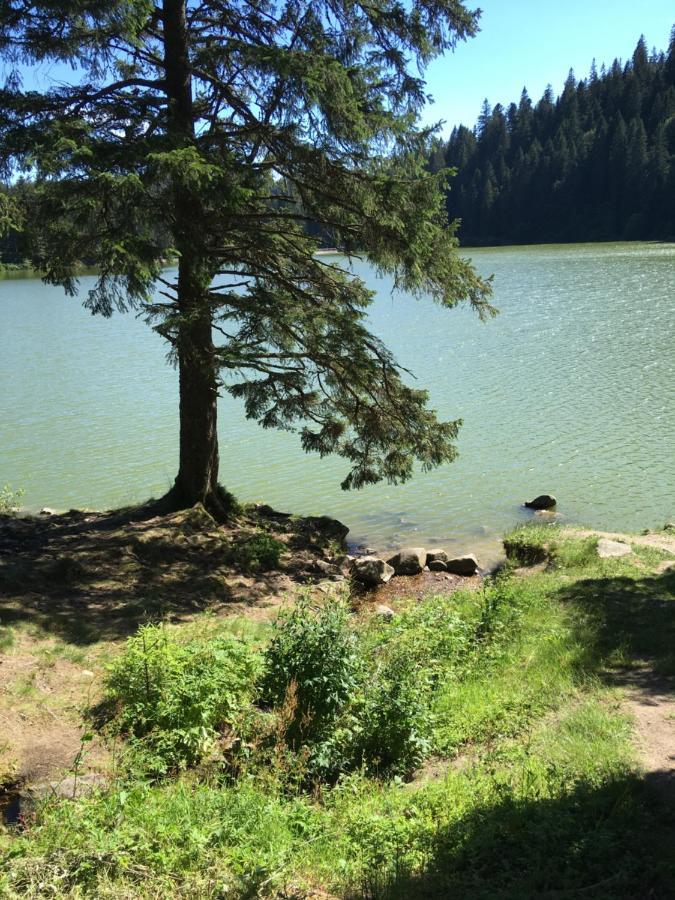 Le Petit Kichon Leilighet Gérardmer Eksteriør bilde