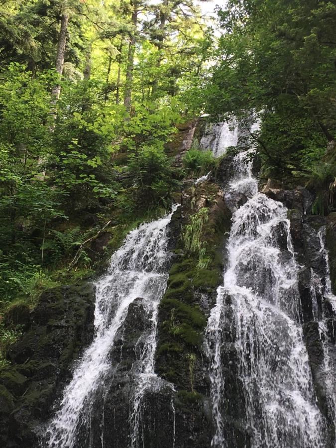 Le Petit Kichon Leilighet Gérardmer Eksteriør bilde