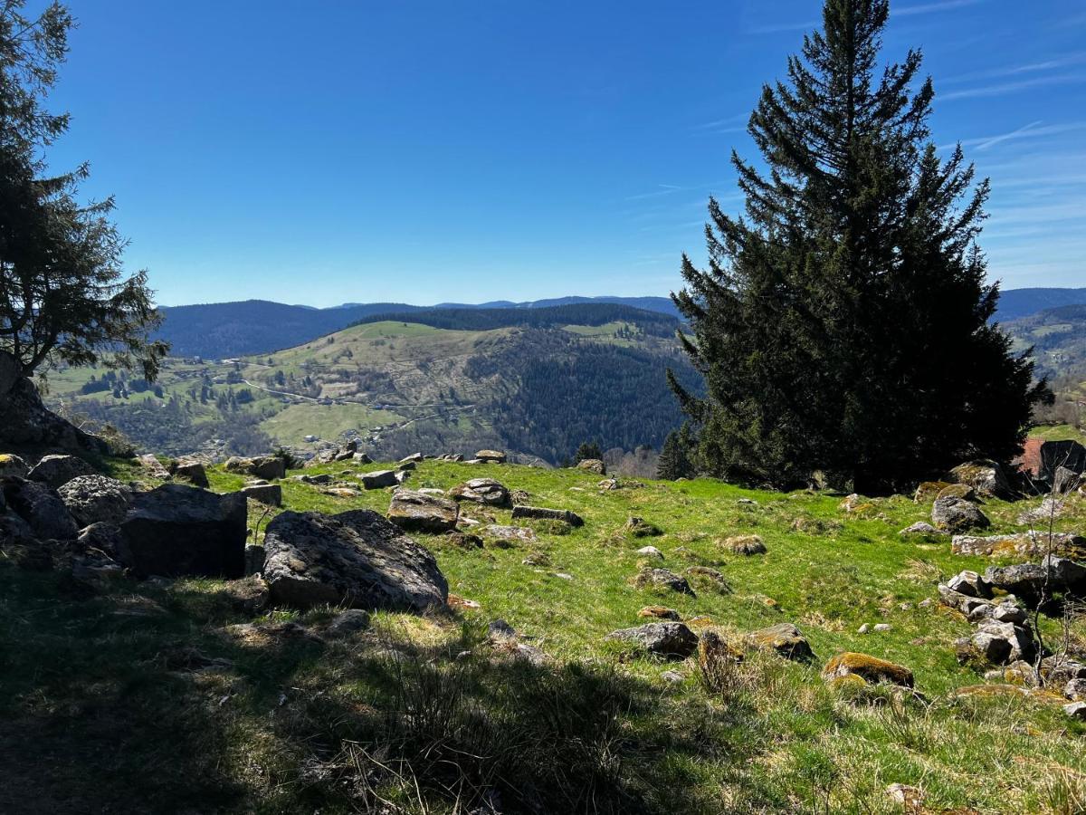 Le Petit Kichon Leilighet Gérardmer Eksteriør bilde
