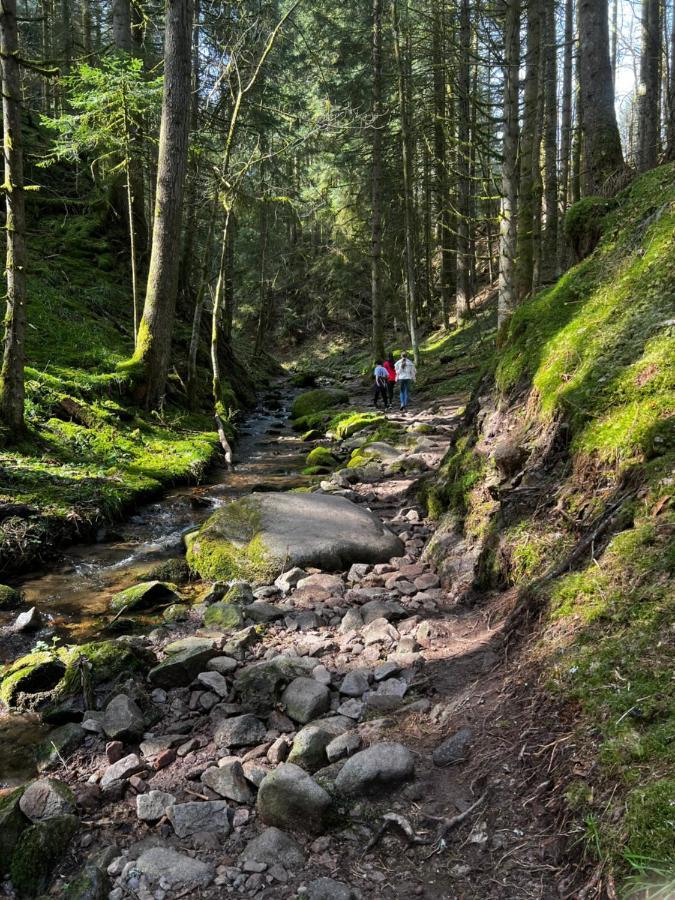 Le Petit Kichon Leilighet Gérardmer Eksteriør bilde