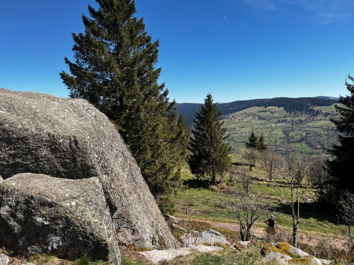 Le Petit Kichon Leilighet Gérardmer Eksteriør bilde