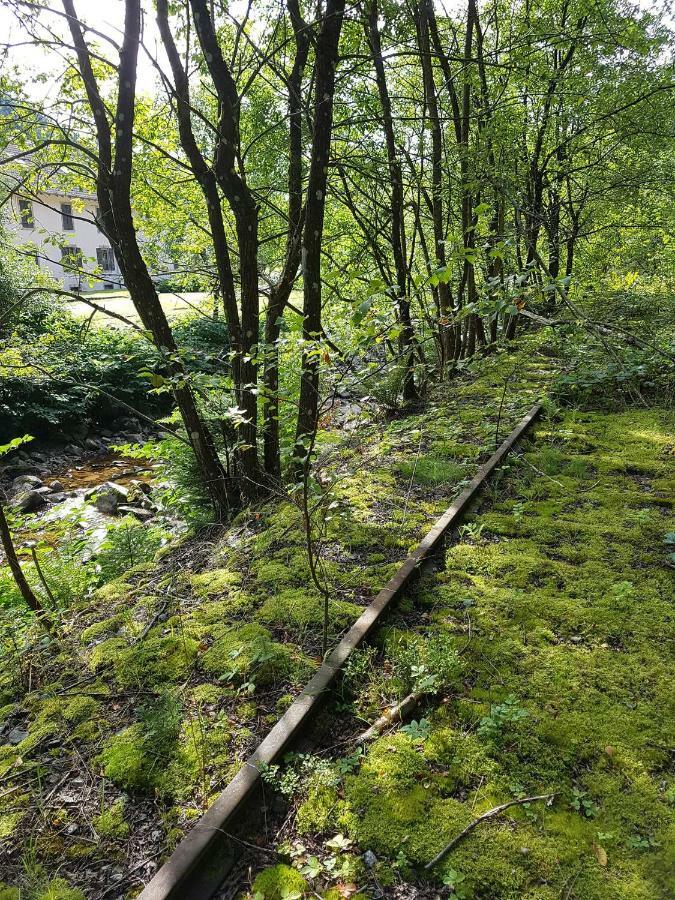 Le Petit Kichon Leilighet Gérardmer Eksteriør bilde